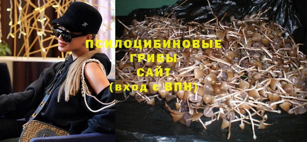 2c-b Богородицк