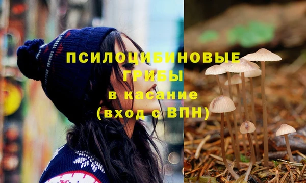 меф Богородск