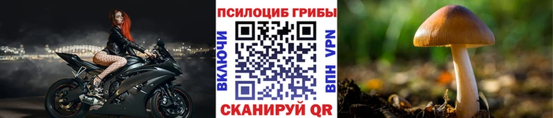 Псилоцибиновые грибы Cubensis  Купить где  Нелидово 